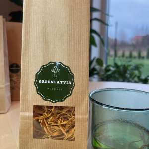 Cordyceps