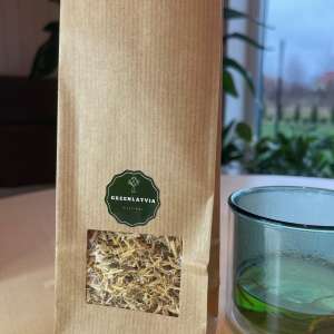 Astragalus - Nature's Shield for Your Health