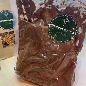 Chaga - Natural Power for Your Health